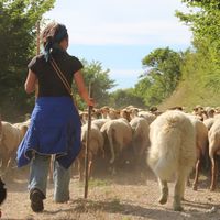 Photo de la ferme GAEC de Lambronne